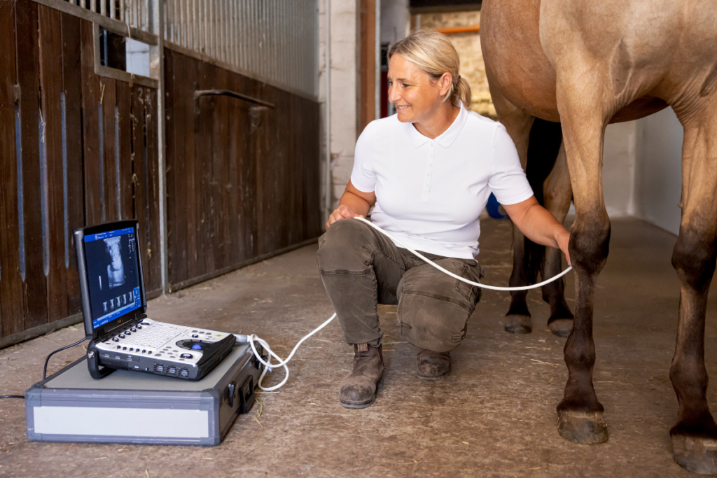 62-Röntgenaufnahme-Pferd-mit-Tierärztin-Tierarztpraxis Hettenleidelheim Tierärztin bei der Ultraschalluntersuchung eines Pferdebeins im Stall, mit mobilem Sonographie-Gerät